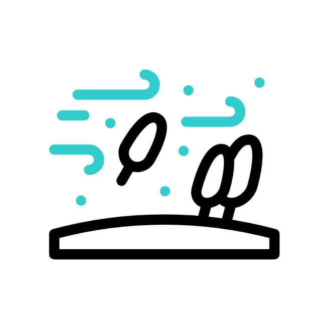 Hurricane Animation